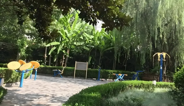 深圳深圳户口办理条件_活佛王兴夫“点化”140位女信徒，全程不穿衣服，场面失控 健职业则、位女信徒