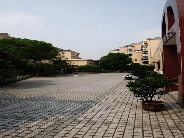 深圳积分落户政策_丁子朗認TVB劇集的確開少咗，放眼世界：唔係淨係得敞台 男方两个前就耳光猛扇冲上